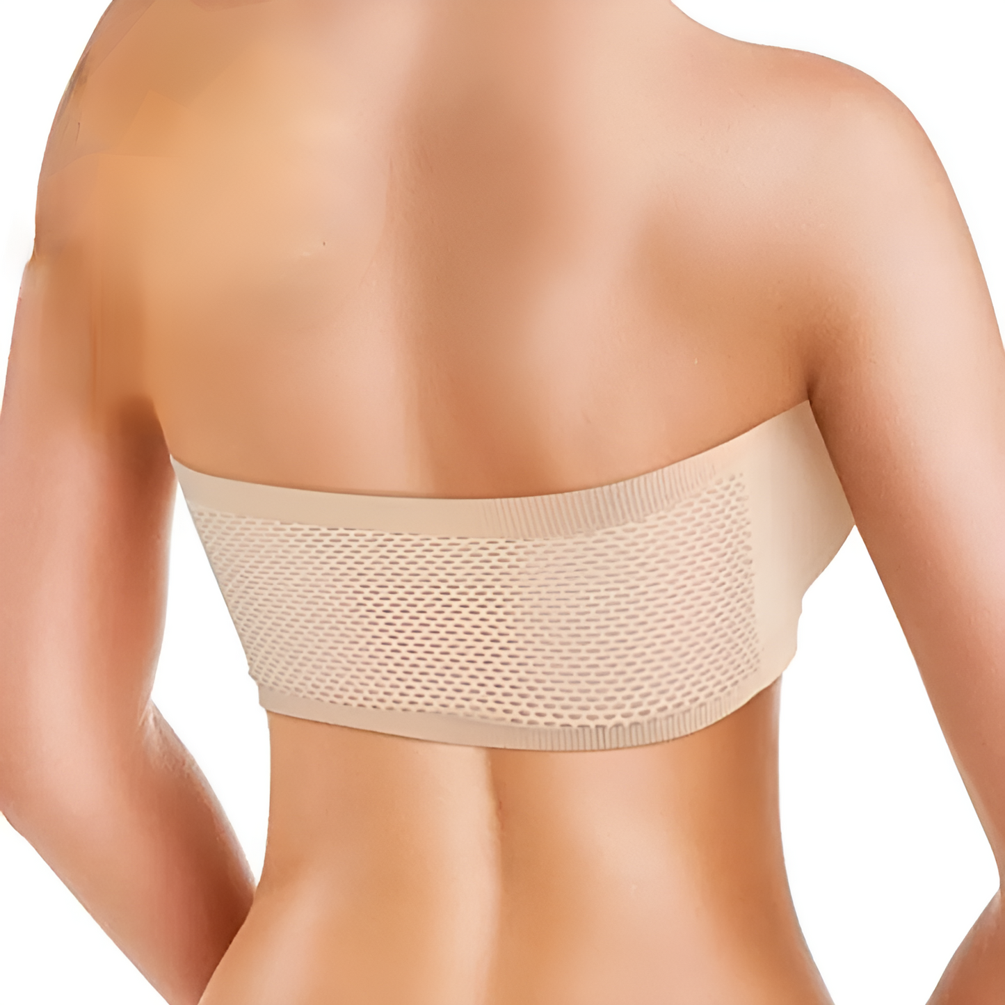 Women's Seamless Strapless Bra – Wireless Bandeau Tube Bra | S/M & M/L Sizes